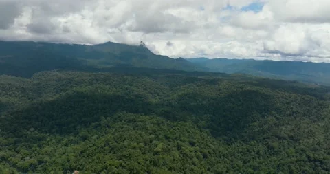 Mountains with rainforest and clouds. Borneo, Malaysia. Stock Footage 235823598