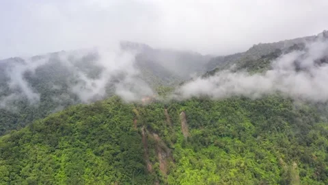 Mountains with rainforest and clouds. Philippines, Mindanao Vídeos de archivo 137083614