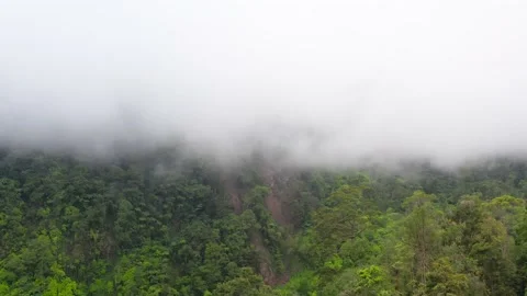 Mountains with rainforest and clouds. Philippines, Mindanao Video stock 143130218