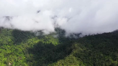 Mountains with rainforest and clouds. Philippines, Mindanao Vídeo Stock 143132733