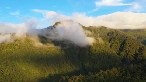 Mountains with rainforest and clouds. Philippines, Mindanao Video stock 147083494