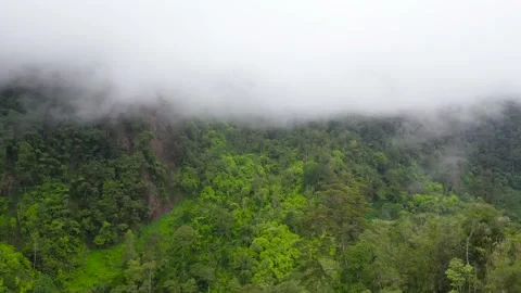 Mountains with rainforest and clouds. Philippines, Mindanao Vídeos de archivo 147083751
