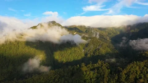 Mountains with rainforest and clouds. Philippines, Mindanao Vidéo 149656993