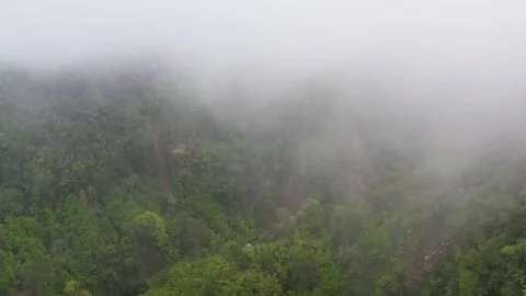 Mountains with rainforest and clouds. Philippines, Mindanao Vídeo Stock 198374919