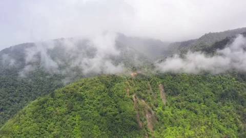 Mountains with rainforest and clouds. Philippines, Mindanao Vídeo Stock 198375157