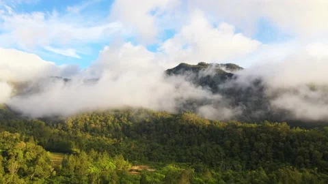Mountains with rainforest and clouds. Philippines, Mindanao Video stock 203067970