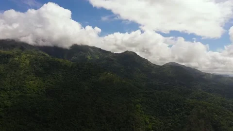 Mountains with rainforest and jungle. Stock Footage 220048656
