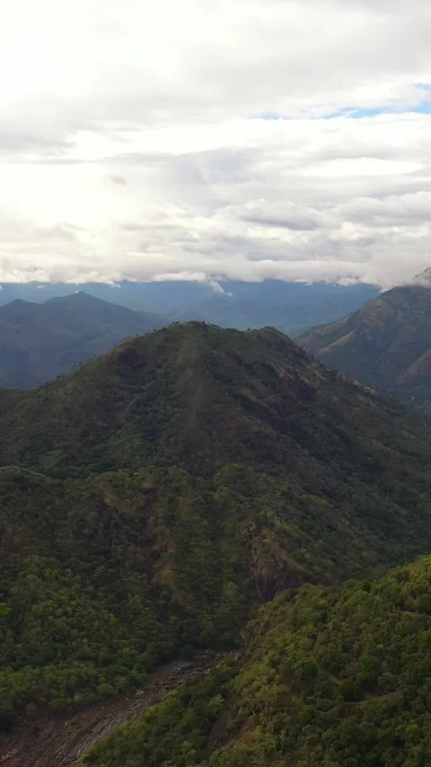 Mountains with rainforest and jungle. Stock Footage 265545334