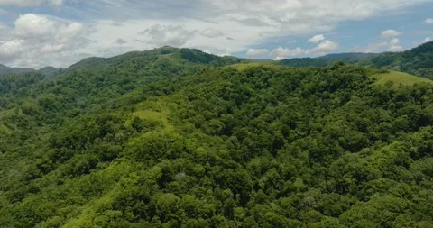 Mountains with rainforest and jungle. Sumatra, Indonesia. Stock Footage 271225344