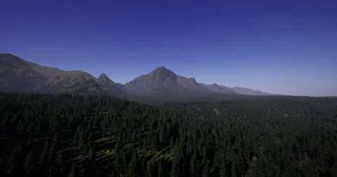 Mountains rise majestically above a dense forest under a clear blue sky Vídeos de archivo 310824809