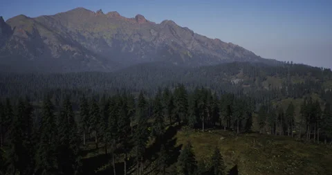 Mountains rise majestically over a dense forest during clear daytime Vídeos de archivo 315701160