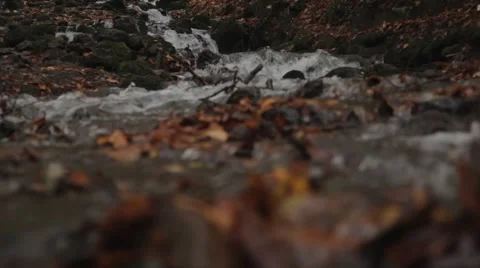 The Mountains River In The Forest. Autumn Stock Footage