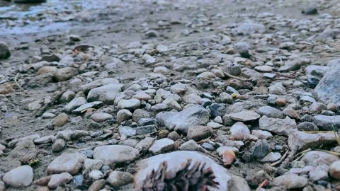 Mountains. River. Forest Stock Footage 161820334