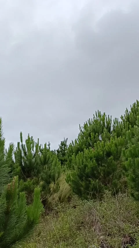 From the mountains to the sea Stock Footage 322170575