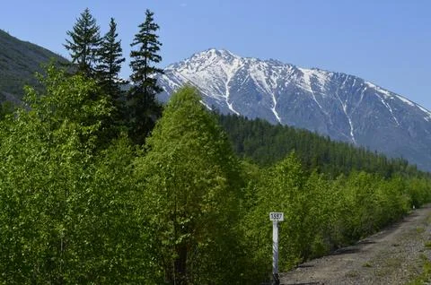 Mountains, sky and forest -  kilometer 1337 Stock Photos
