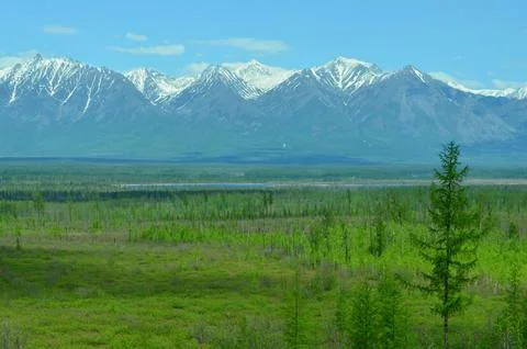 Mountains, sky and forest Stock Photos