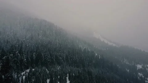 Mountains, skyride and pine forest covered with the snow in Canada Stock Footage 148355884