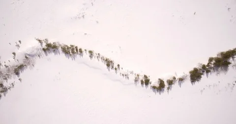 Mountains. Snow-covered forest at the foot of the mountain. Stock Footage 89732324