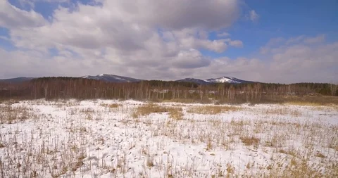 Mountains. Snow-covered forest at the foot of the mountain. Vidéo 89736312