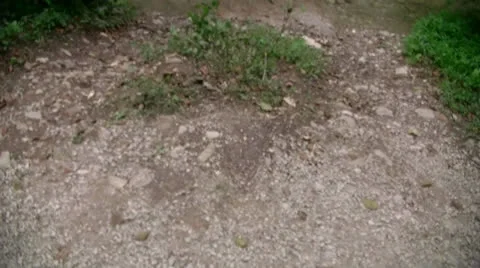 In the mountains of Sochi Stock Footage 27119010