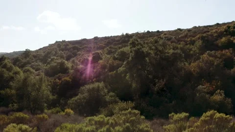 Mountains - South LA 1 Stock Footage 244674410