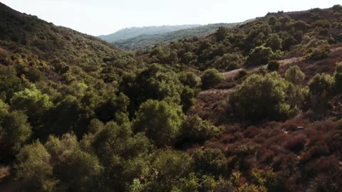 Mountains - South LA 3 Stock Footage 244674418