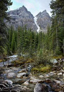 Mountains With Stream Stock Photos