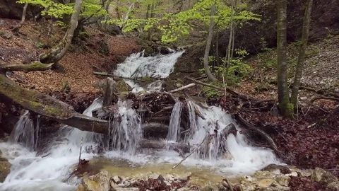 Mountains stream waterfall in fresh spring forest nature Stock Footage 116712804