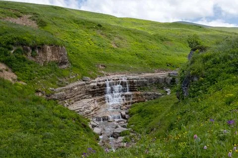 Mountains, subalpine- the sources of the mountain river walking along the can Stock Photos