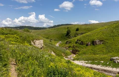 Mountains, subalpine- the sources of the mountain river walking along the can Stock Photos