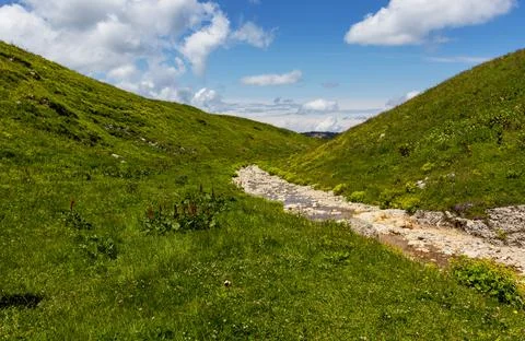 Mountains, subalpine- the sources of the mountain river walking along the can Stock Photos
