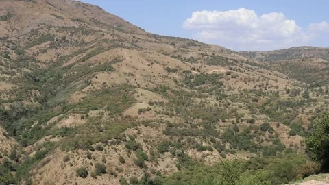 Mountains Summer Background Stock Footage 202204462