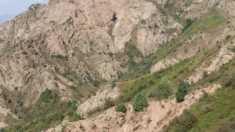 Mountains Summer Background Stock Footage 202205720