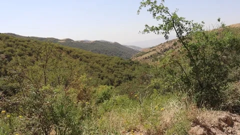 Mountains Summer Background Stock Footage 202205731