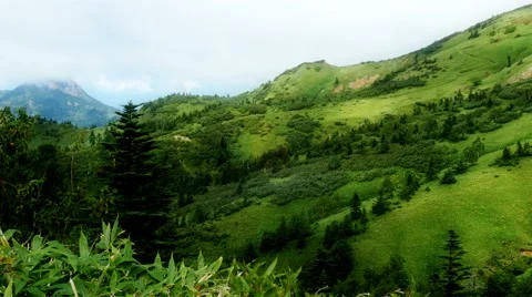 Mountains in summer Stock Footage 48987588