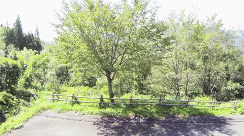 Mountains in summer　 Video stock 48987680