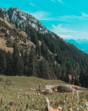 Mountains in the summer 写真素材