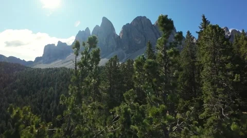 Mountains With Sunlight, Dazzling Jagged Summits Surrounded By Lush Pine Forests Видео 323980683