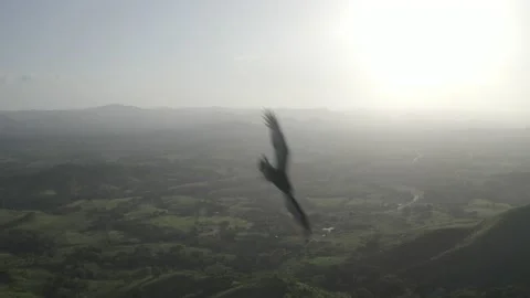 Mountains at sunset. The eagle flew very close with drone Stock Footage 142171047