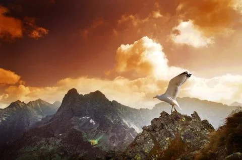 Mountains sunset landscape Stock Photos