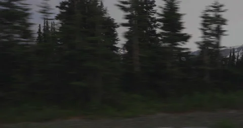 Mountains At Sunset Through Forest Stock Footage 165268635