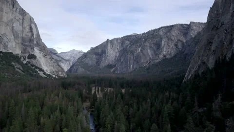 Mountains surrounded by lush pine forest in America Stock Footage 223367262