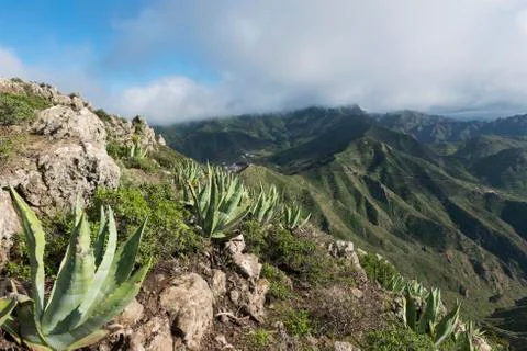 Mountains on Tenerife Stock Photos