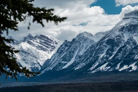 Mountains through the trees Stock Photos