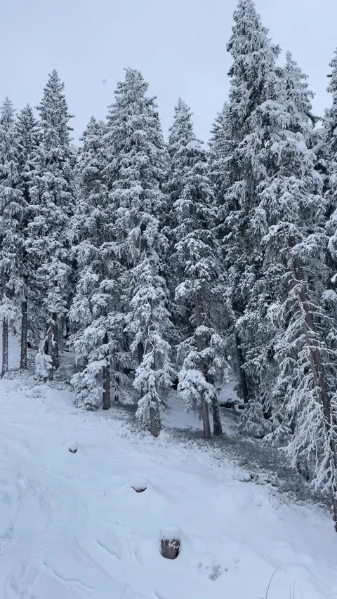 Mountains in Tirol Stock Footage 328939080