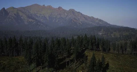 Mountains tower over a lush forest during a clear sunny day in nature Ilustração Stock