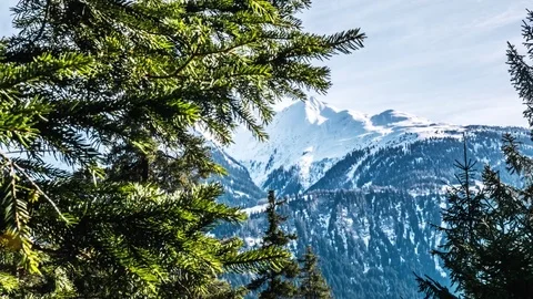 Mountains Tree Snowy View Spring Valley Timelapse 4k Stock Footage 73826913