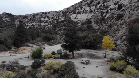 Mountains with trees Aerial Video stock 293392355