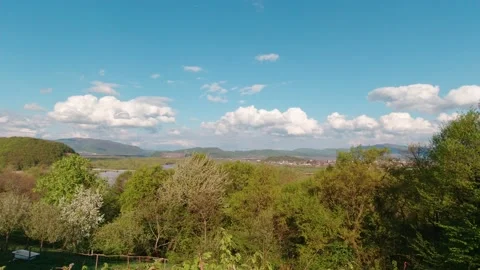Mountains Trees And Blue Sky Stock Footage 195096128