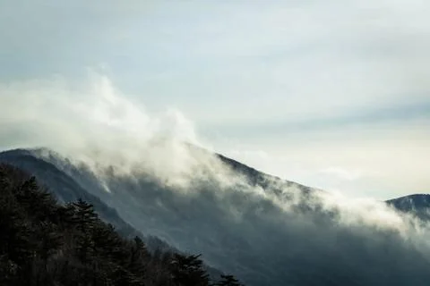 Mountains with trees and clouds Foto stock